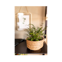 Vorschaubild Wikholm form Design Pflanzgefäß / Blumentopf Jute ⌀ 19 x H 14 cm