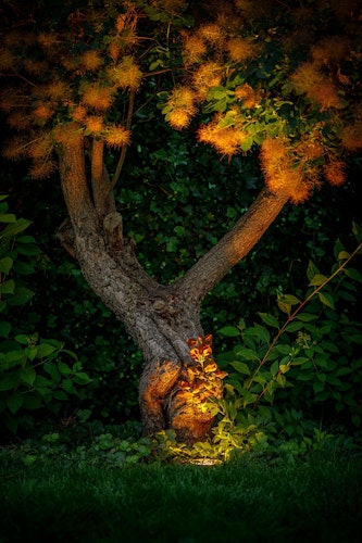 Garden Lights Bodeneinbauleuchte Rubum SMART (Zigbee)