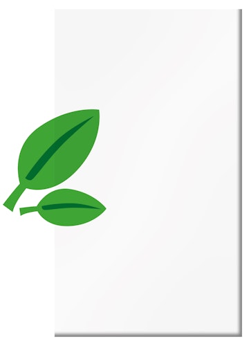 BM Systemglas Grundelement 103 x 180 cm TYP 214-219, 228, 248