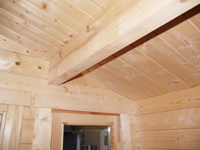 Wolff Finnhaus Gartenhaus Trondheim 44-B isolierverglast XL