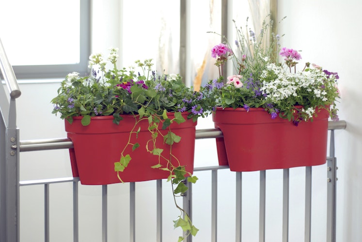 KHW Flowerclip XL, 2er Set