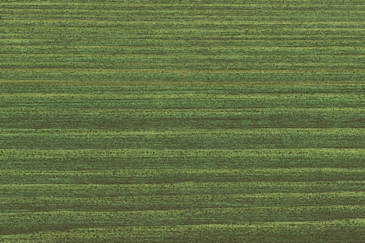 Osmo Einmal-Lasur HS plus