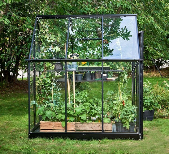 Halls Gewächshaus Qube - 3,9 m² / 5,1 m² / 6,4 m²