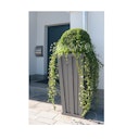 Vorschaubild BM Blumenkasten Tessin