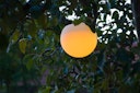 Vorschaubild Ubbink MultiBright SolarFloat 30 - Solarbetriebene schwimmende Leuchtkugel H28 x Ø30cm