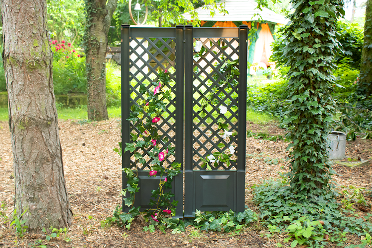 KHW Spalier 43 cm mit Erdspieß - 2er Set