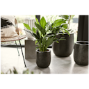 Vorschaubild Vosteen Design Blumentopf / Pflanzgefäß Terrakotta schwarz ø 20 cm x H 22 cm