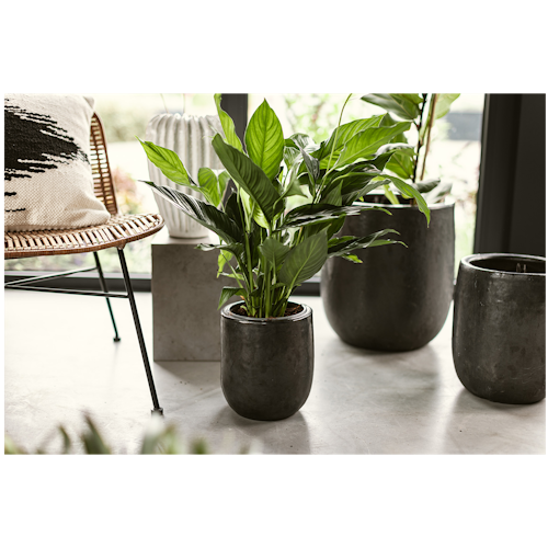 Vosteen Design Blumentopf / Pflanzgefäß Terrakotta schwarz ø 20 cm x H 22 cm