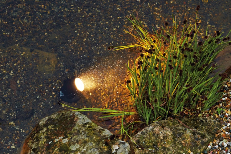 Pontec Teich- und Gartenbeleuchtung PondoStar LED Set 1