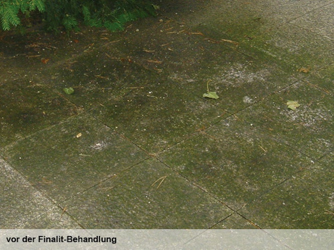 Finalit Nr. 10 Algen- und Moostilger (neutral)