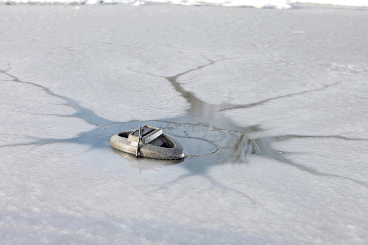 Oase Eisfreihalter IceFree Thermo 330