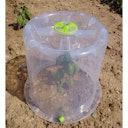 Vorschaubild Noor Pflanzglocke Ø 35 x H30cm inkl. 2 Heringen