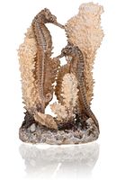 biOrb Seepferdchen natural S (55038)