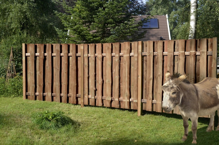 T&J SEELAND-Serie Sichtschutz 180x150 cm