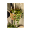 Vorschaubild Wikholm form Design Hängetopf aus Jute in natur 17 x 17 cm