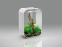 Vorschaubild BiOrb Aquarium LIFE 15 LED