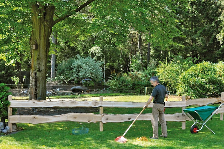 T&J MATTEO BONANZA Zaunbretter Eiche 2400 mm