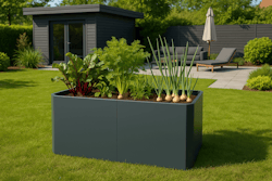 Premium Hochbeet aus Stahl anthrazit 160 x 80 x 75 cm