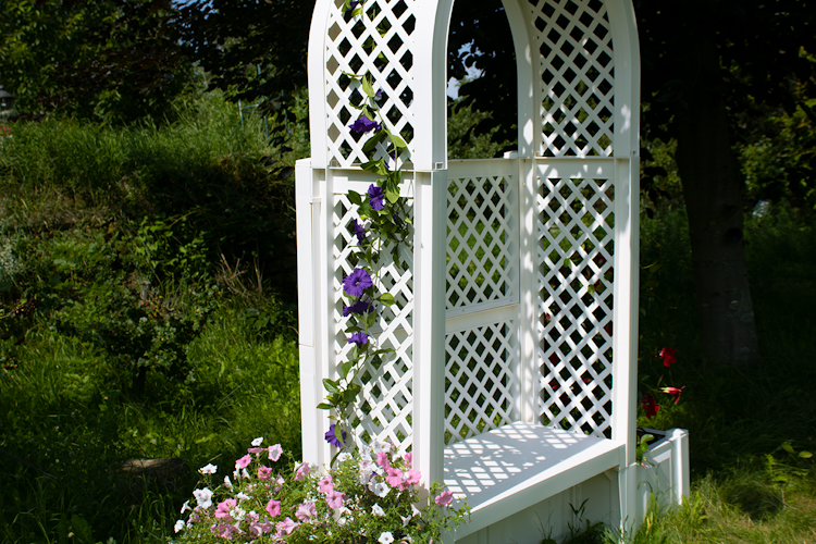 KHW Gartenbank Amsterdam mit Rosenbogen und Spalier