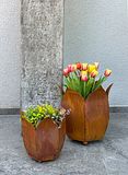 Badeko Pflanztopf-Set ,,Tulpe 350 + 500“ in EdelrostoptikZubehörbild