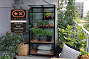 Vorschaubild Juliana Gewächshaus Urban City Greenhouse - 0,32 m²