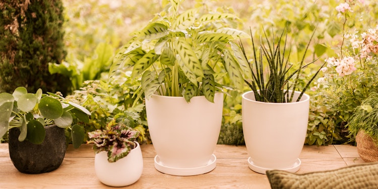 Wikholm form Design Pflanzgefäß / Blumentopf cremeweiß ⌀ 37 x H 32 cm