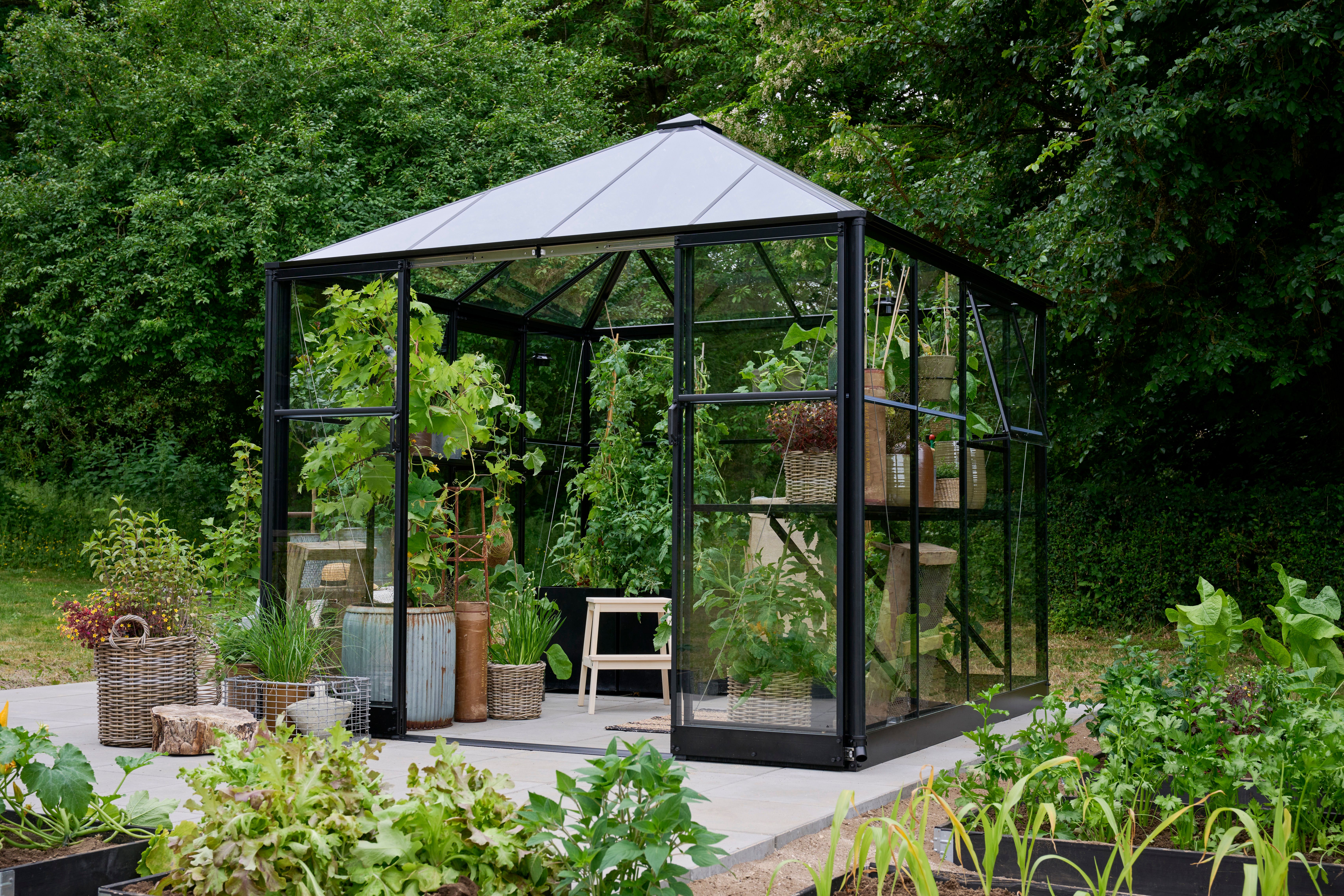 Halls Gewächshaus Qube Square 8 - 6,3 m²