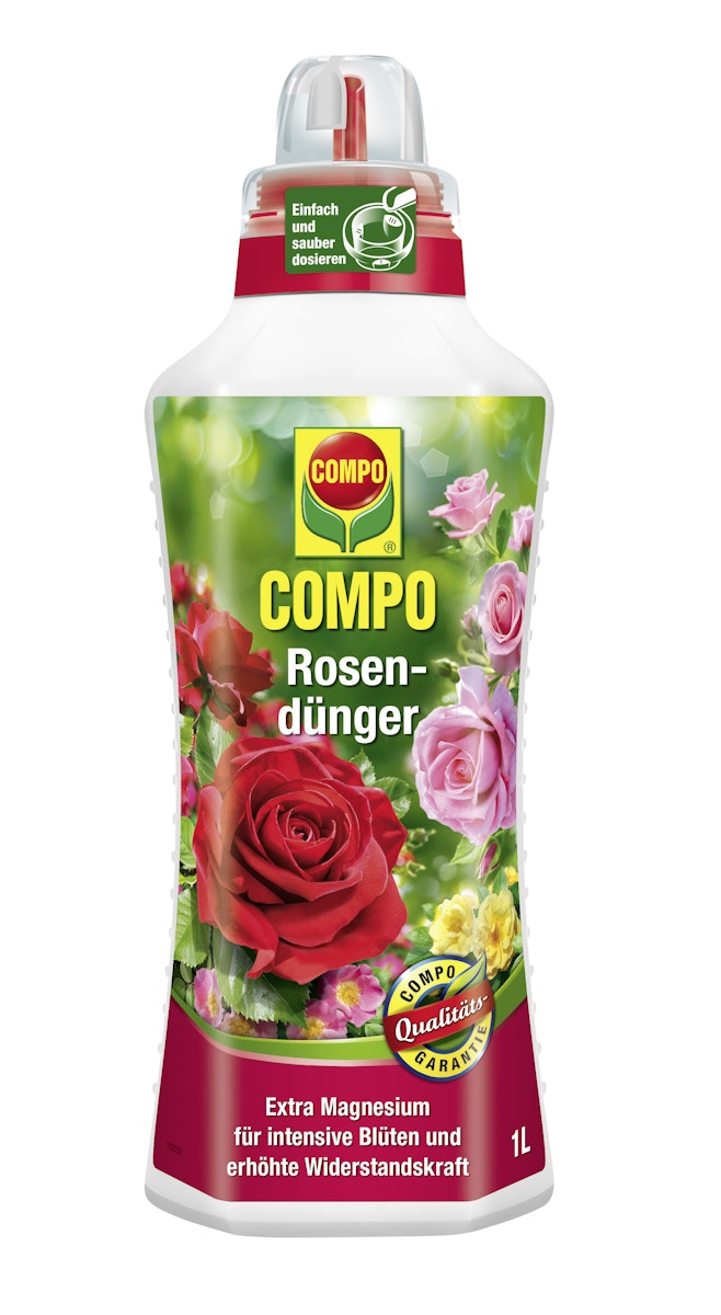 gekeimte brokkolisamen bio Brokkolisamen gekeimt, bio, roh 200g – TAIGA Naturkost main image 0