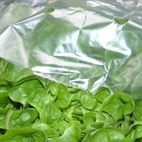 Noor Frühbeetfolie 1,5 x 10 m