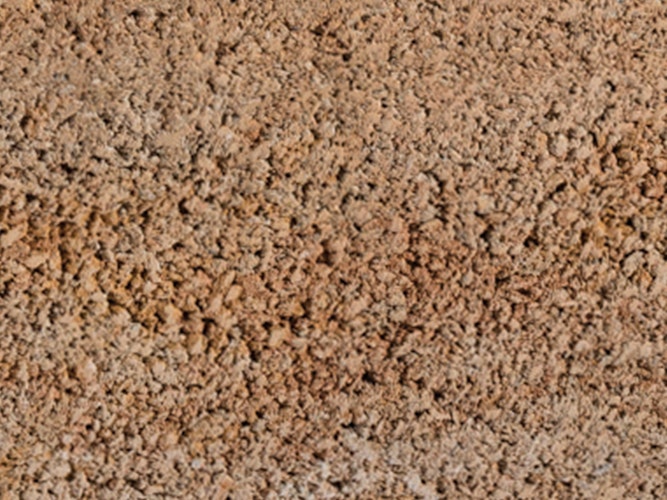 Diephaus Mauerstein COLUNA