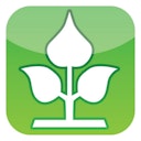 Vorschaubild NOOR Jutesäckchen 10 St. Nikolaussäckchen versch.Größen