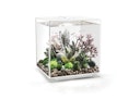 Vorschaubild BiOrb Aquarium CUBE 60 MCR