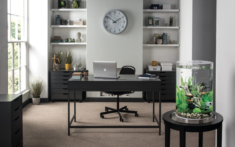 BiOrb Aquarium TUBE 30 MCR