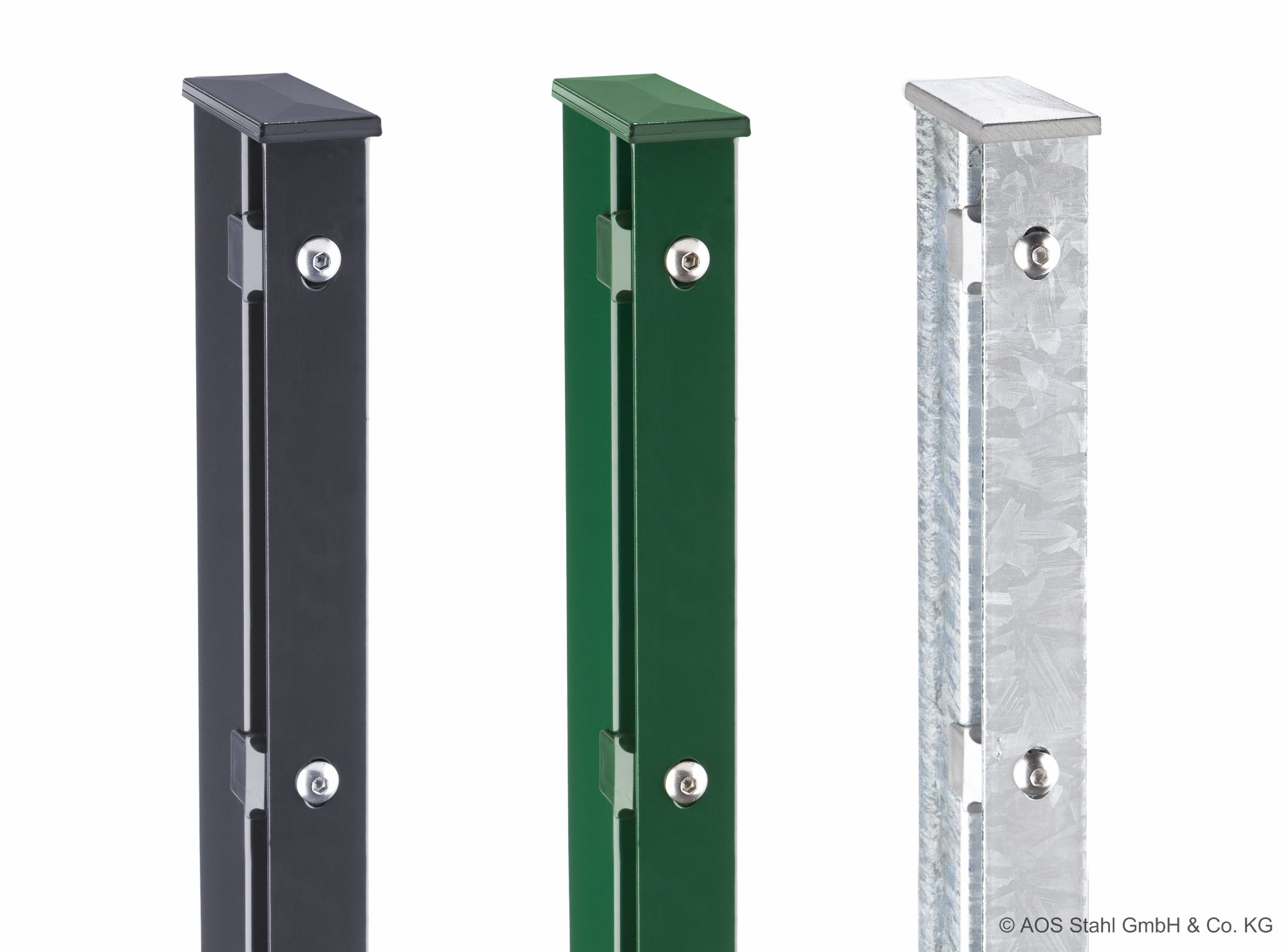 dz Pfosten VAAP mit Profilschiene / Alu-Kappe 60 x 40 mm