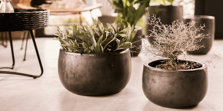 Vosteen Design Blumentopf /  Pflanzgefäß Terrakotta schwarz ø 30 cm x H 18 cm