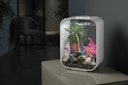 Vorschaubild BiOrb Aquarium LIFE 15 LED