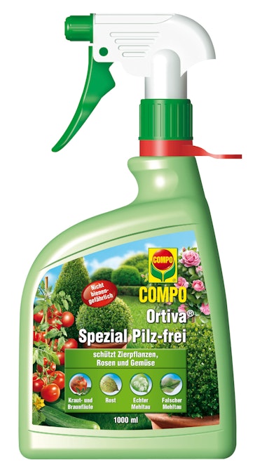 unkraut saatgut BESTE Unkrautsamen