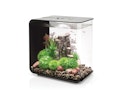 Vorschaubild BiOrb Aquarium FLOW 30 MCR