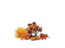 Vorschaubild biOrb Decor Set 15L Herbst (55024)