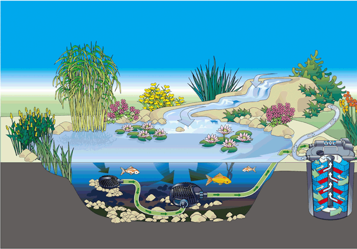 Oase FiltoClear 6000