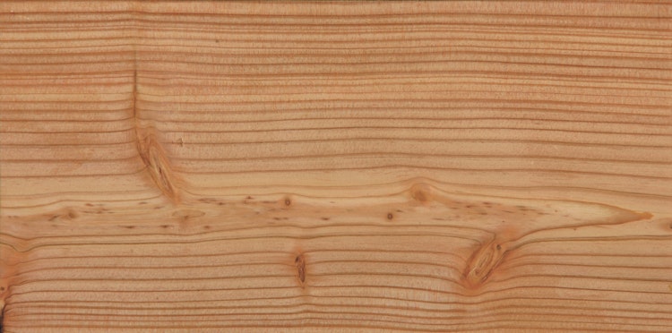 Handmuster OSMO  Sichtschutz JUEL A Lärche Natur