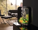 Vorschaubild BiOrb Aquarium LIFE 45 MCR