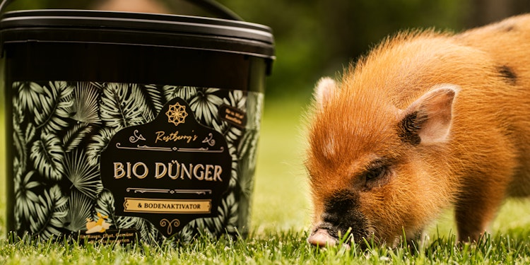 Restberry´s Bio Dünger