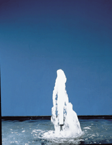 Oase Schaumsprudler 55 -15 E