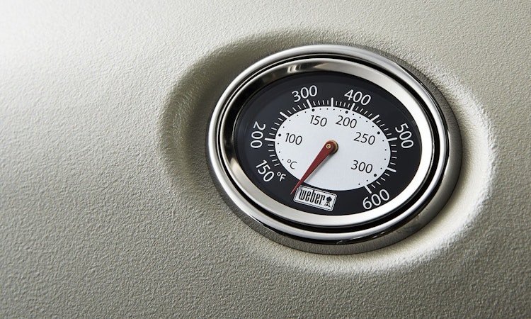 Weber Q 2200 Gasgrill Schwarz 