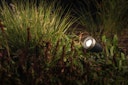 Vorschaubild Garden Lights Strahler Arcus SMART (Zigbee)