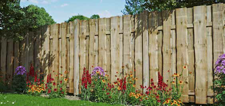 T&J FÜNEN Sichtschutz Kiefer/Fichte druckimprägniert grün 1800 x 1800 mm