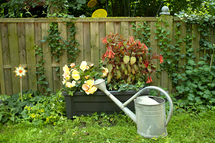 KHW Calypso Pflanzkasten auf Rollen mit Bewässerungssystem