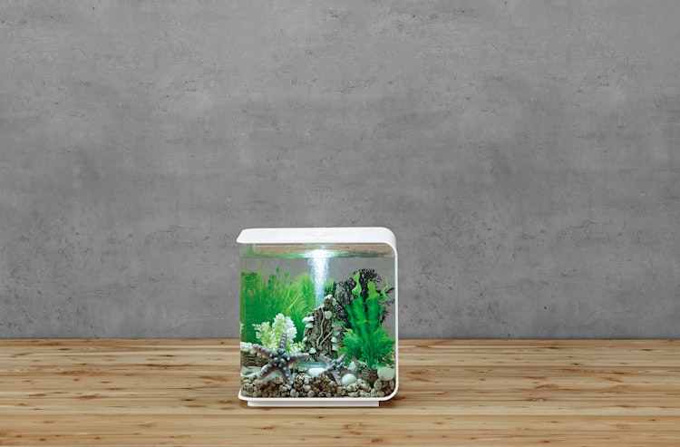 BiOrb Aquarium FLOW 15 LED