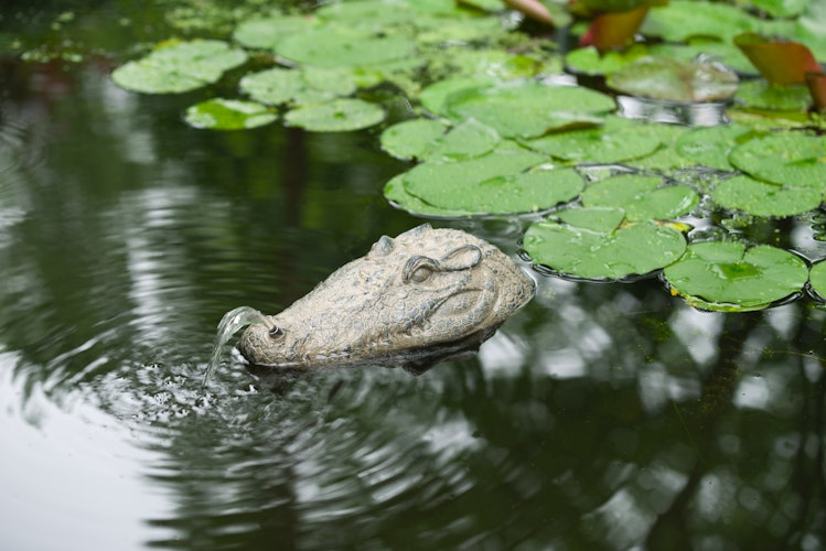 Ubbink Wasserspeier Krokodil